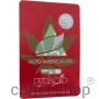 Cannabis seeds Auto AMERICAN PIE from Pyramid Seeds